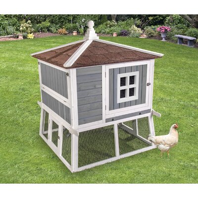 Chicken Coops You'll Love | Wayfair